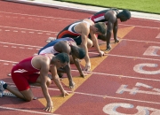 PG游戏下载-东北虎啸震辽原，福克斯关键一击，吉林掀翻卫冕冠军