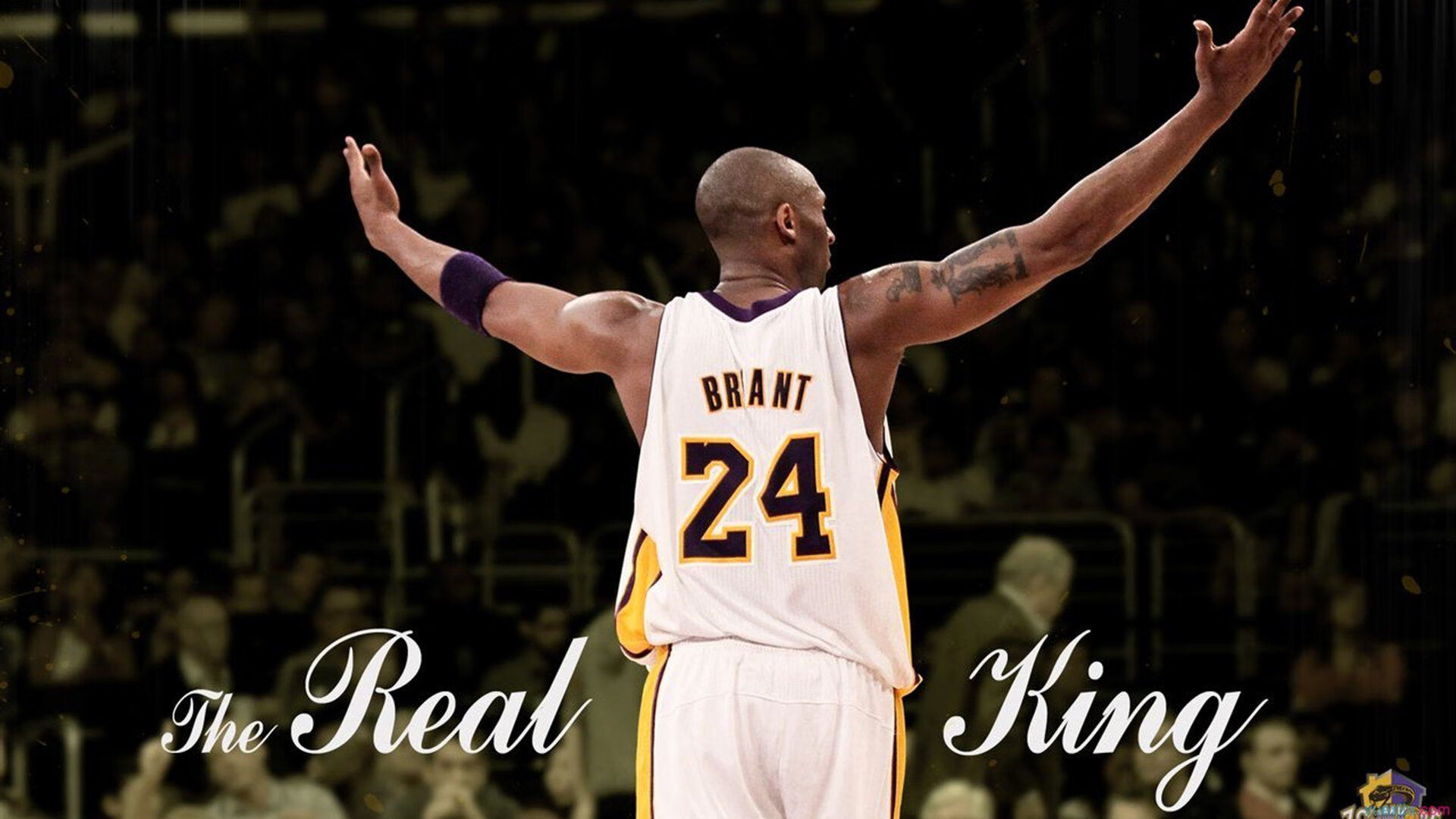 火箭轻取凯尔特人，武切维奇如何从配角蜕变为关键先生